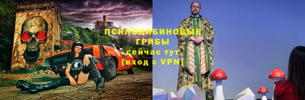 2c-b Пестово