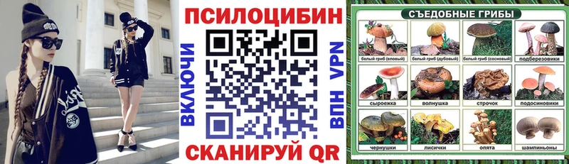 OMG зеркало Прохладный Галлюциногенные грибы Cubensis